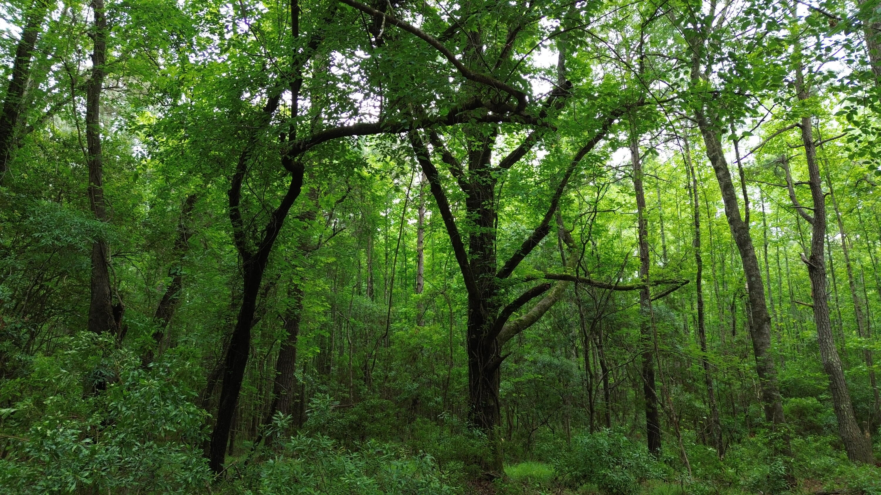 0 Pineview Farm Road