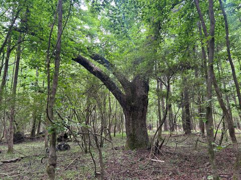 0 Pineview Farm Road Lane SC 29564