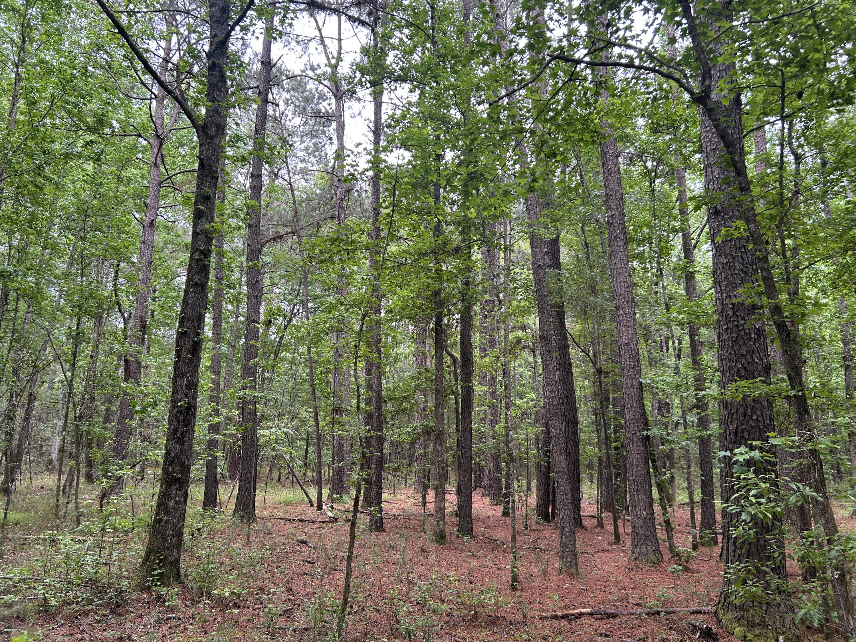 0 Pineview Farm Road