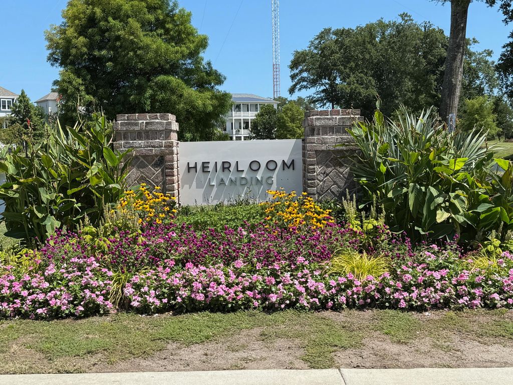 Photo of 1470 Tomato Farm Circle, Mount Pleasant, SC 29464 (MLS # 25020531)