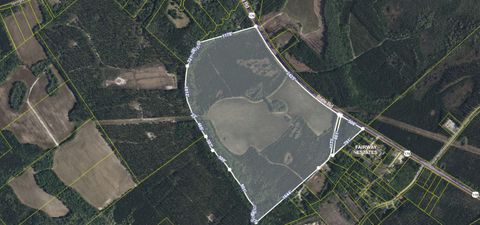 Photo of 4391 State Road, Ridgeville, SC 29472 (MLS # 25013683)