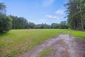 1 Marion Woods Trail