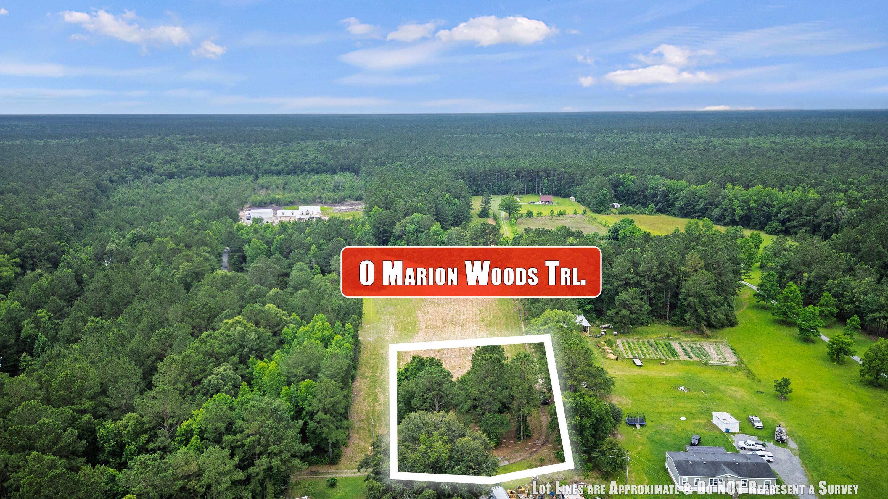 1 Marion Woods Trail, Bonneau, SC, 29431