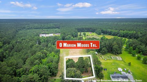 1 Marion Woods Trail Bonneau SC 29431