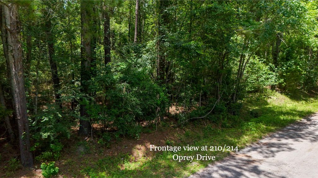 Photo of 214 Osprey Drive, Moncks Corner, SC 29461 (MLS # 25017277)