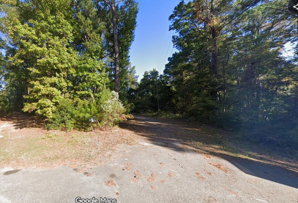 Photo of 950 Trinkets Loop, Johns Island, SC 29455 (MLS # 26013917)