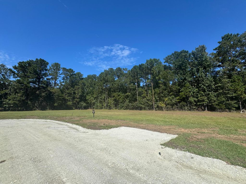 Photo of 0 Jedburg Road #5, Summerville, SC 29486 (MLS # 25020279)