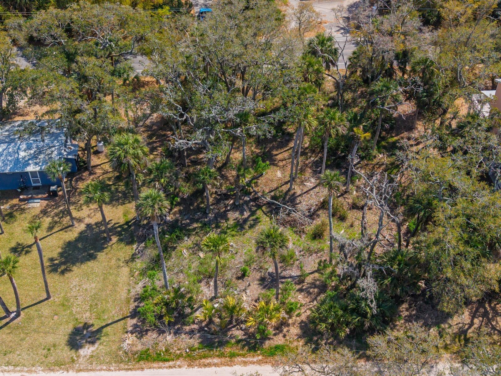 307 Jungle Road