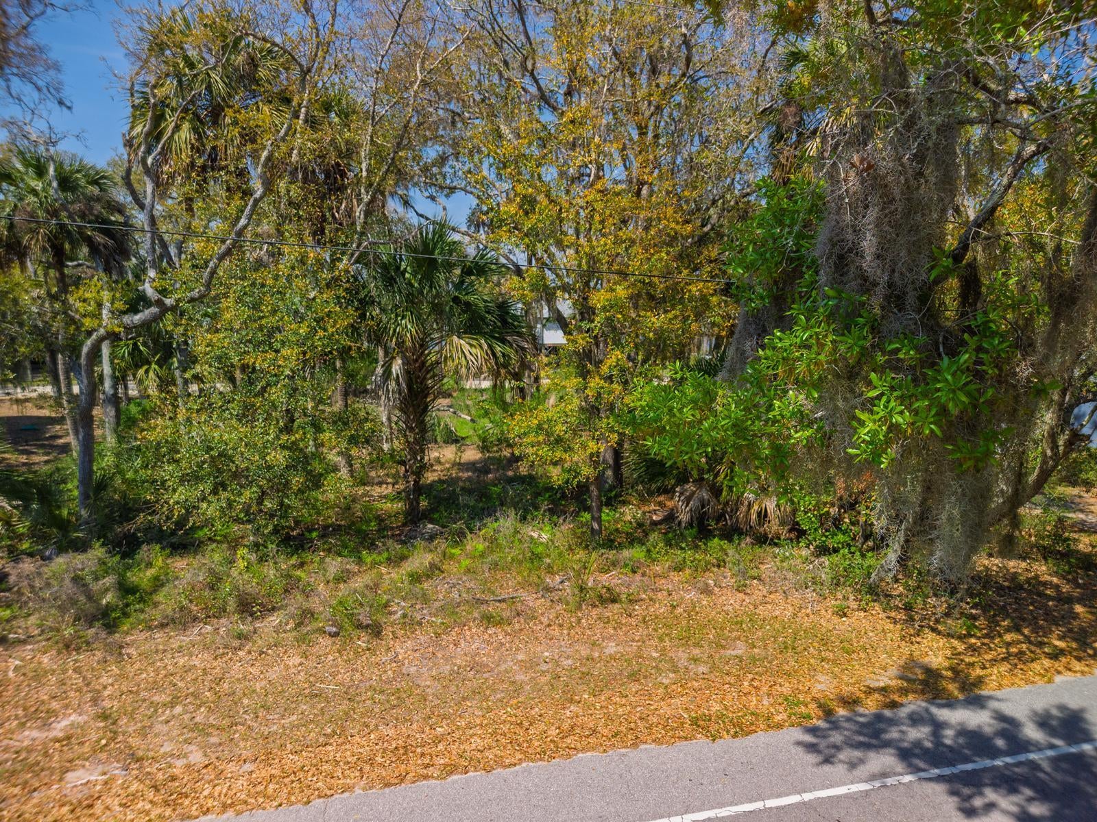 307 Jungle Road