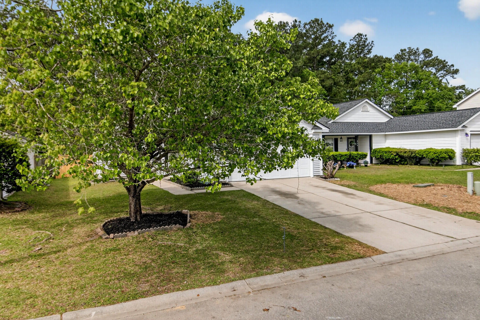 246 2 Pond Loop