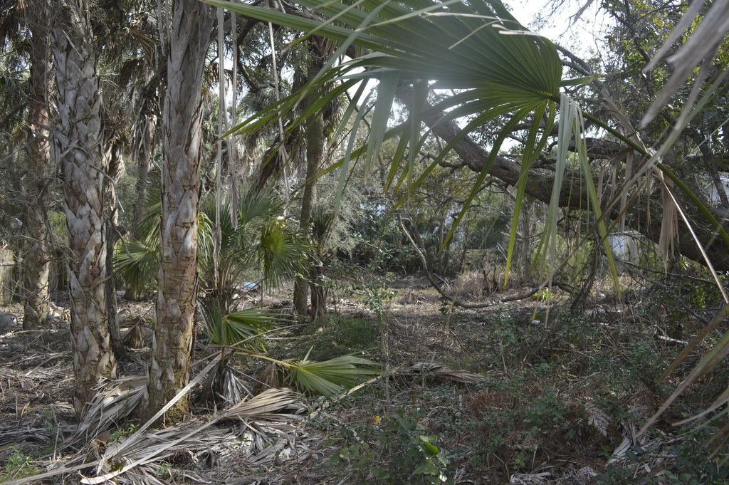 Photo of 916 E Ashley Avenue, Folly Beach, SC 29439 (MLS # 25019104)