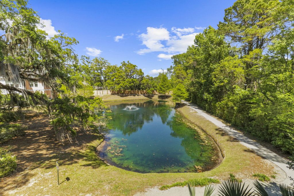 Photo of 1925 Chatelain Way, Mount Pleasant, SC 29464 (MLS # 26010493)