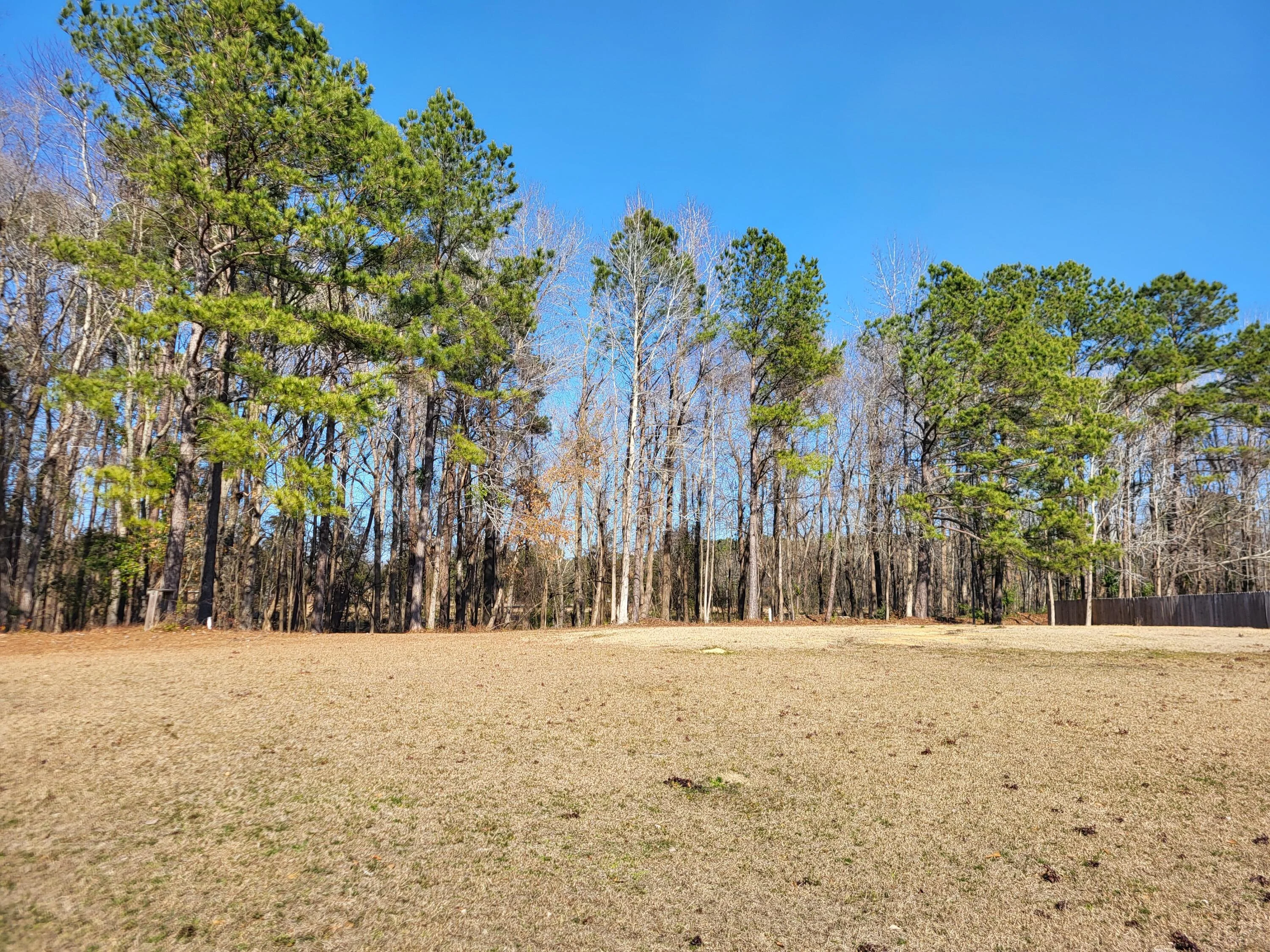 Lot 2 Santee Lumber Road