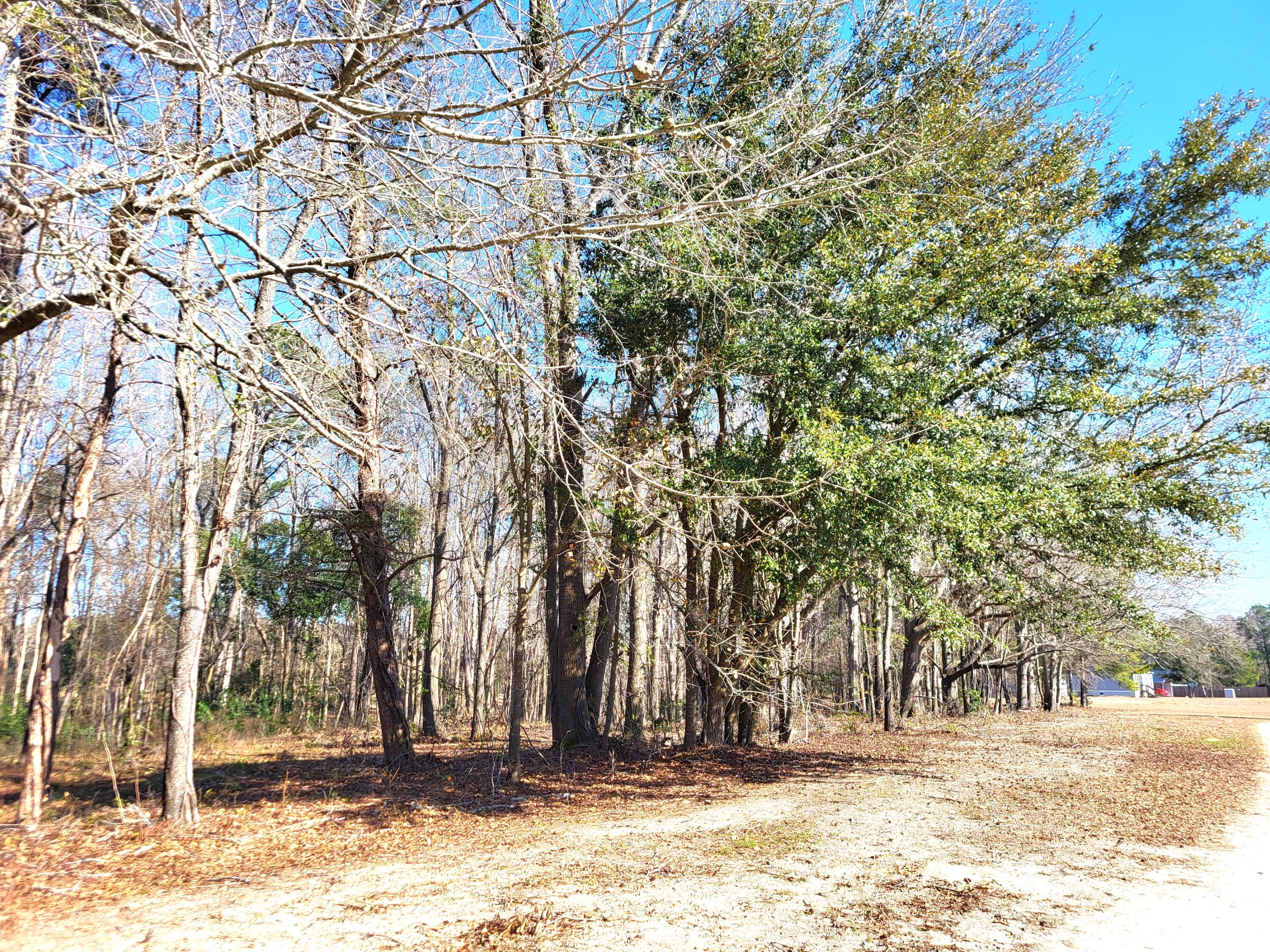 Lot 2 Santee Lumber Road