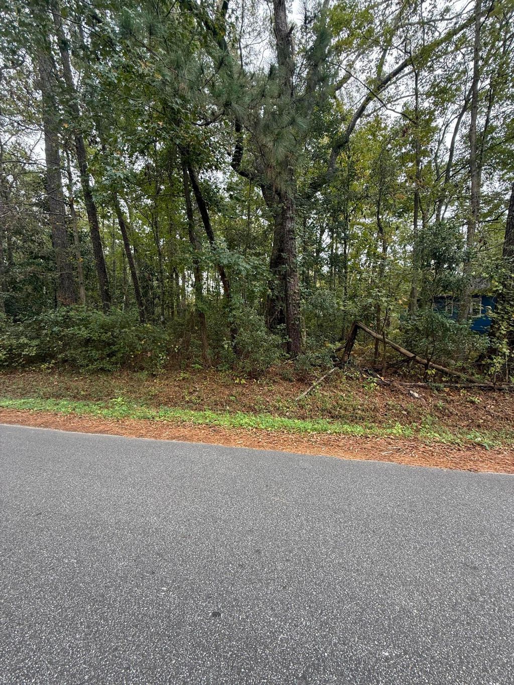 Photo of 0 Benedict Avenue, North Charleston, SC 29418 (MLS # 25029464)