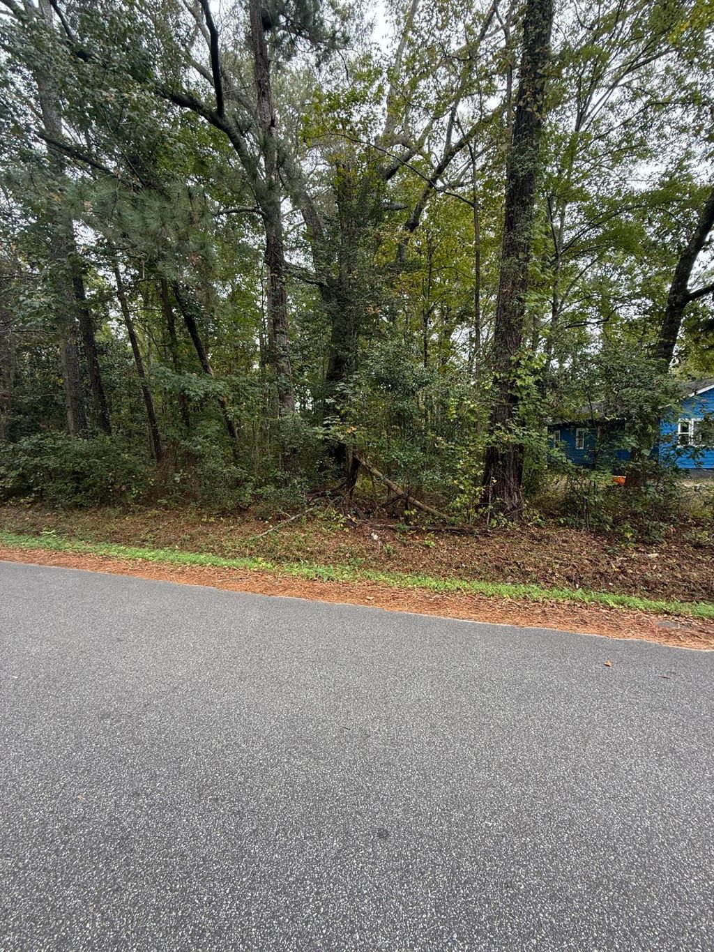 Photo of 0 Benedict Avenue, North Charleston, SC 29418 (MLS # 25029464)