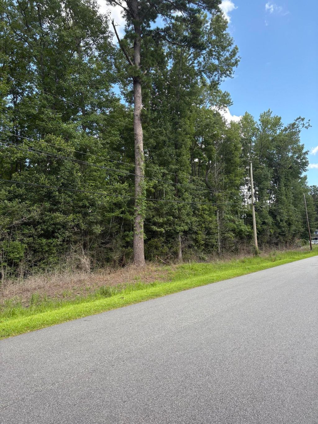 Photo of 0 University Drive #Lot 189, North Charleston, SC 29418 (MLS # 26008020)