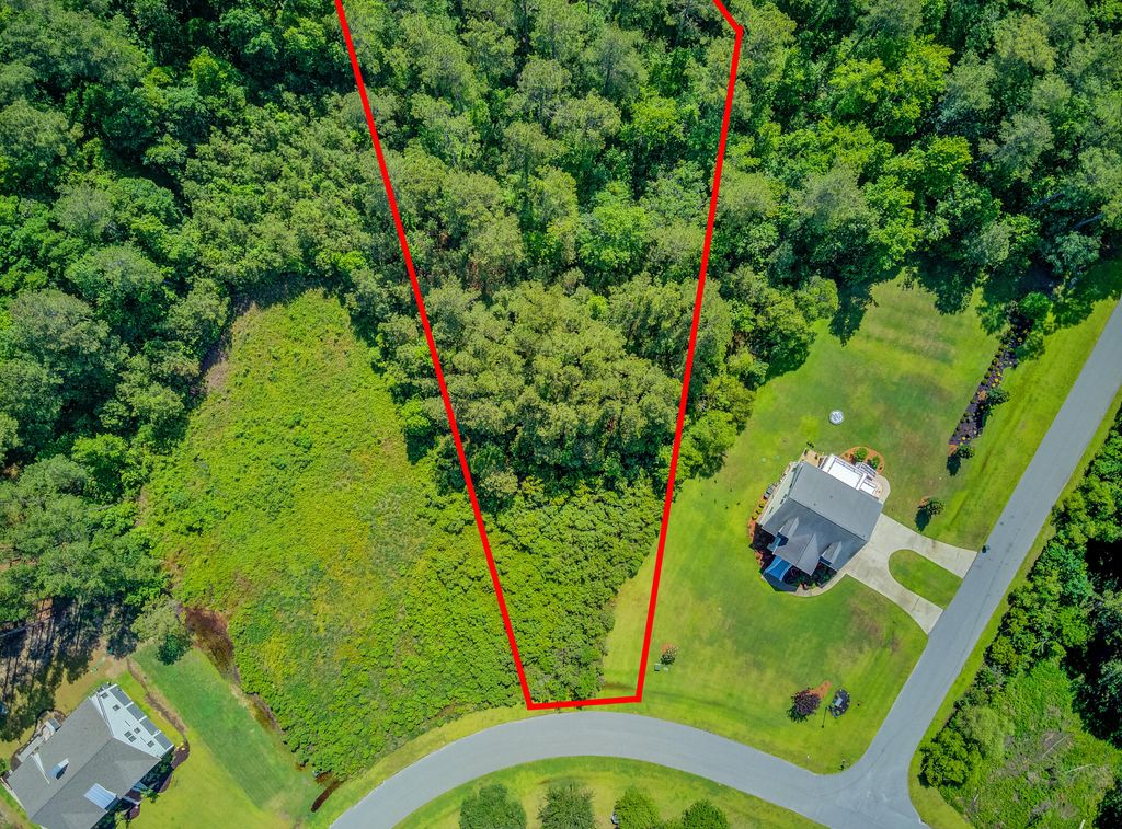Photo of 1319 Wood Sorrel Drive, Moncks Corner, SC 29461 (MLS # 25024828)
