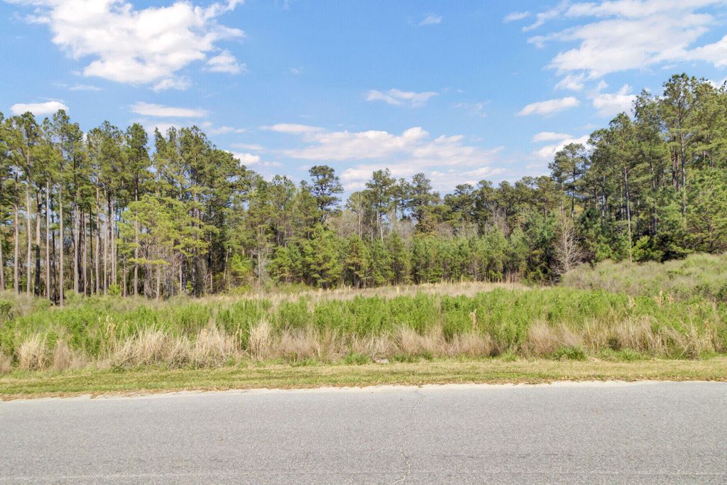 Photo of 1319 Wood Sorrel Drive, Moncks Corner, SC 29461 (MLS # 25024828)