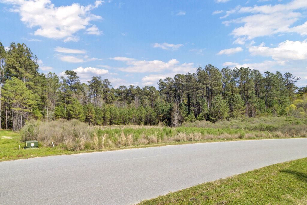 Photo of 1319 Wood Sorrel Drive, Moncks Corner, SC 29461 (MLS # 25024828)