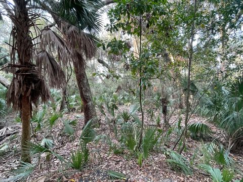 539 Oristo Ridge Edisto Beach SC 29438