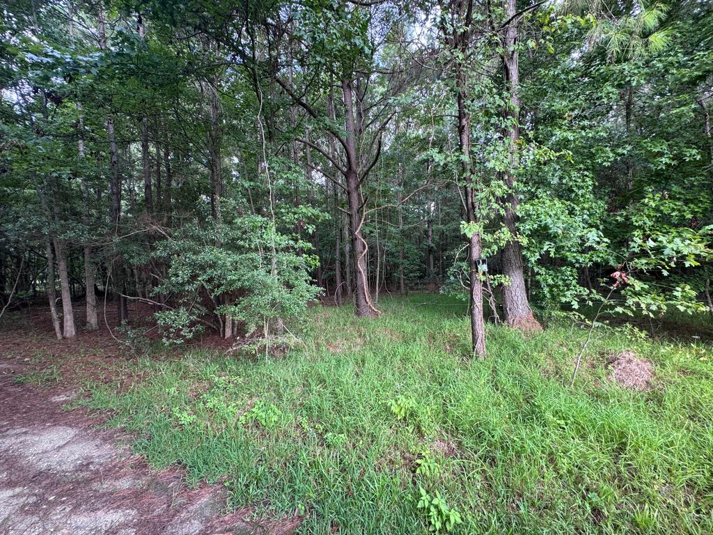 Photo of 2251 Turkey Hill Road, Johns Island, SC 29455 (MLS # 25030645)