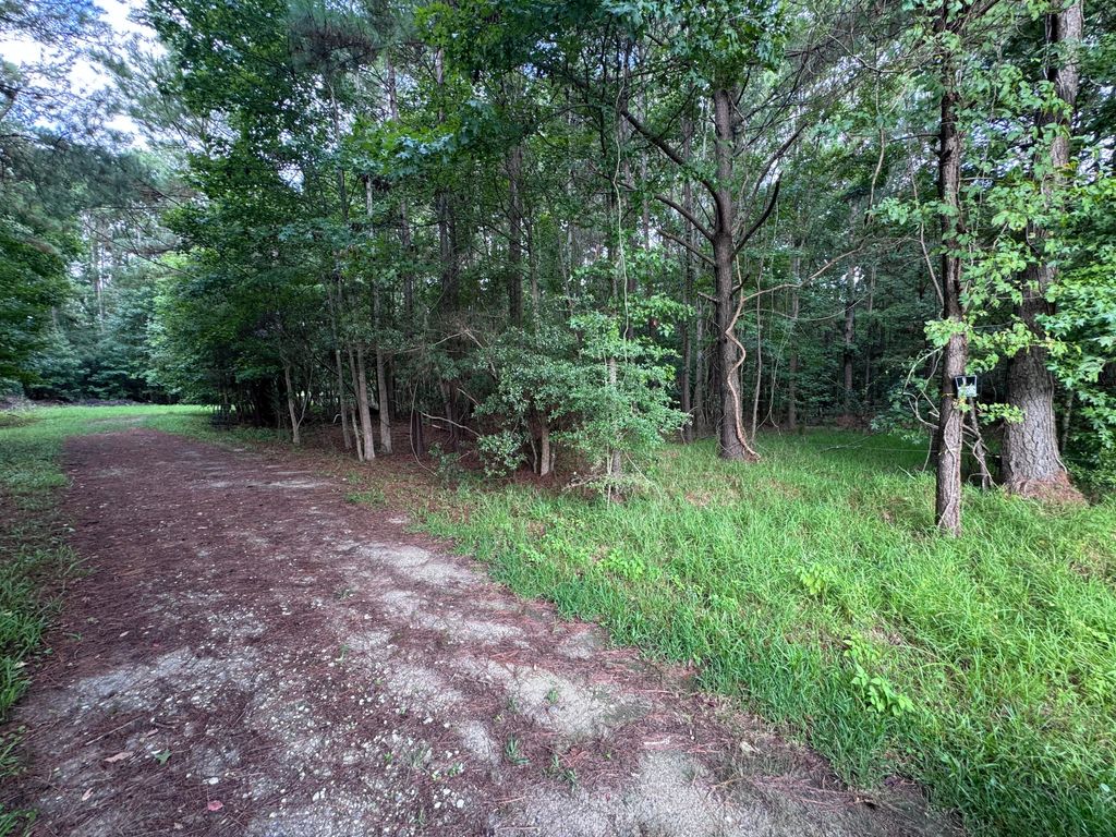 Photo of 2251 Turkey Hill Road, Johns Island, SC 29455 (MLS # 25030645)