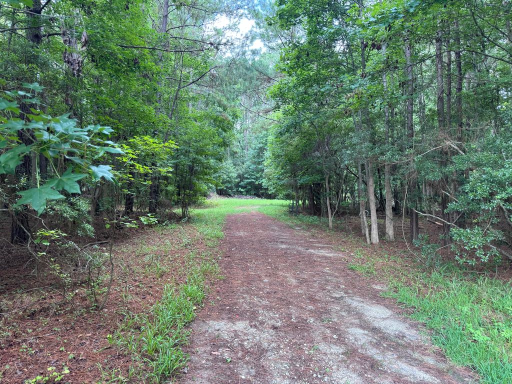 Photo of 2251 Turkey Hill Road, Johns Island, SC 29455 (MLS # 25030645)