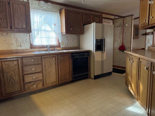 242 Bluebird Lane