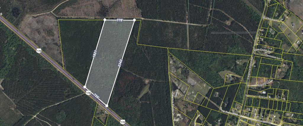 Photo of 2900 Highway 176, Summerville, SC 29486 (MLS # 24001701)