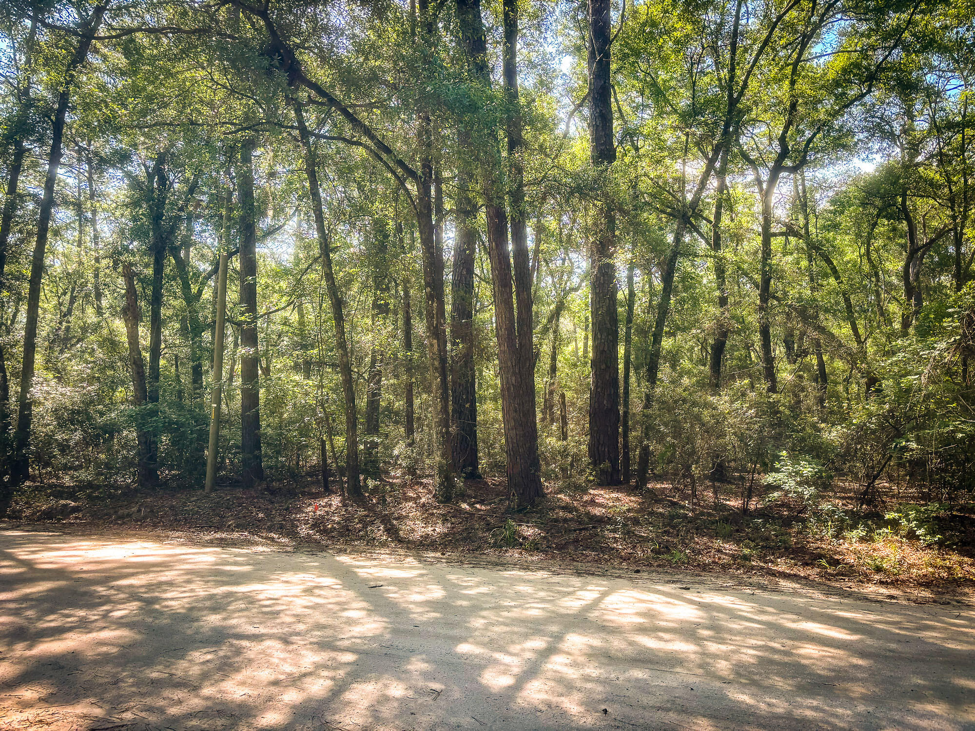 2127 Leadenwah Drive