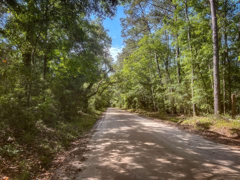 2127 Leadenwah Drive Wadmalaw Island SC 29487