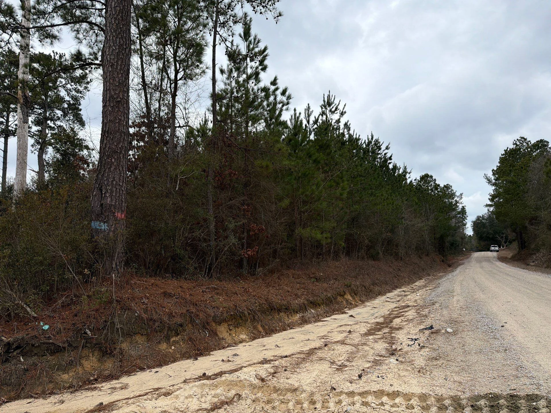 Bff Ii 2 J C Barefoot Road Unit Bff Ii 2, Patrick, SC, 29584