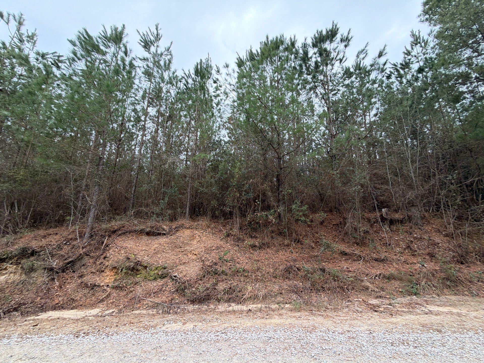 Bff Ii 2 J C Barefoot Road Bff Ii 2