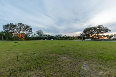 Photo of 783 Dunham Street, Charleston, SC 29492 (MLS # 21020459)