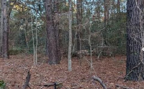 1981 Liberia Road Wadmalaw Island SC 29487