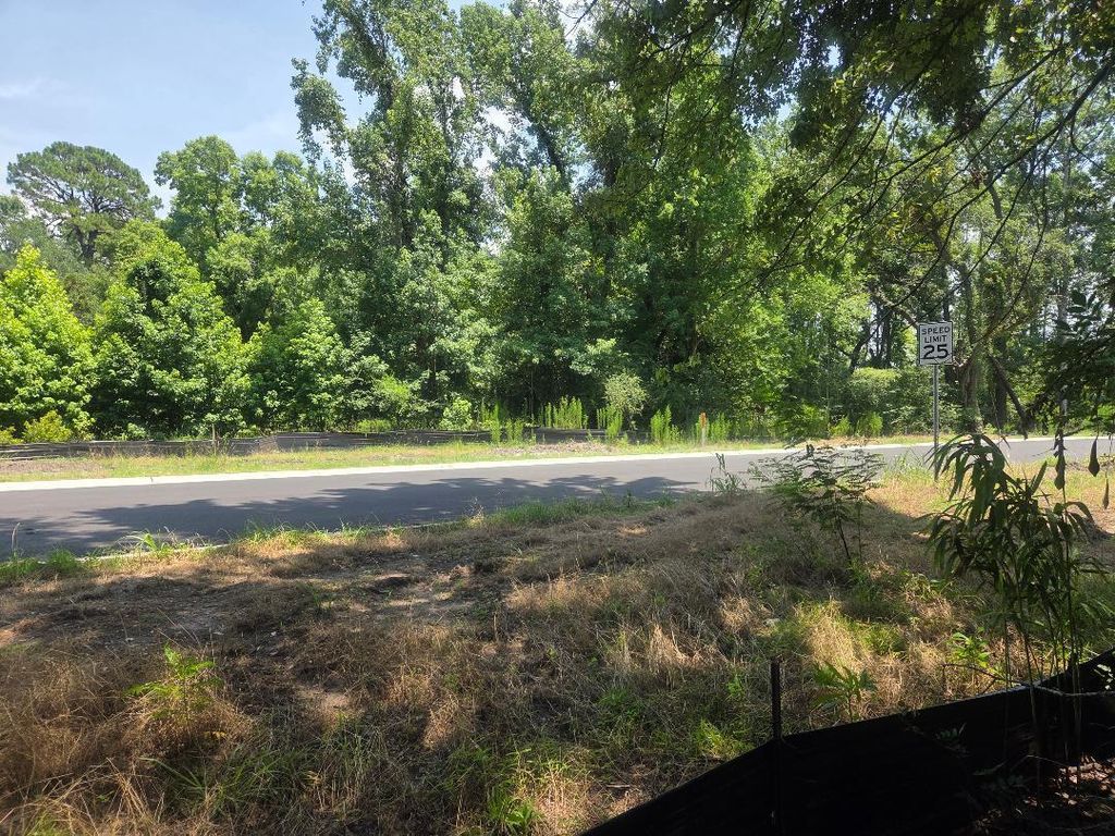 Photo of 6385 Sc-162, Hollywood, SC 29449 (MLS # 25017644)