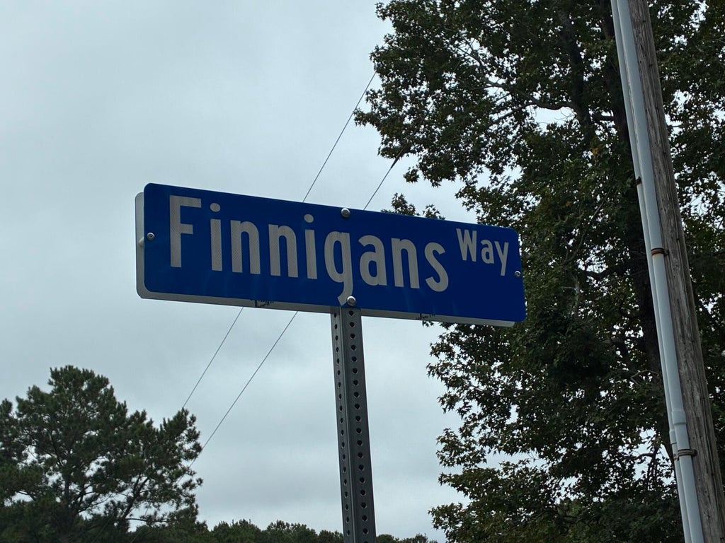 Photo of 1044 Finnigans Way, Awendaw, SC 29429 (MLS # 26026477)
