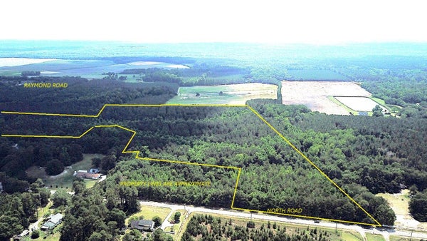 NORTH RD, ORANGEBURG, SC 29118 - Image 080f97e08bf5b436bc3fb840dd6c976a/1796237428
