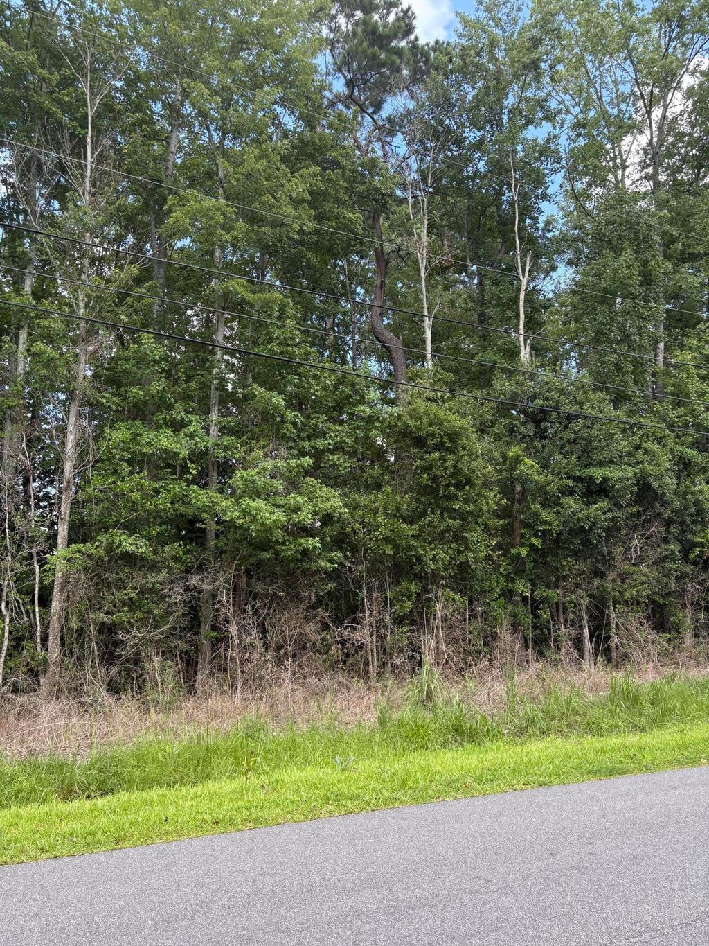 Photo of 0 University Drive #Lot 222, North Charleston, SC 29418 (MLS # 26008026)