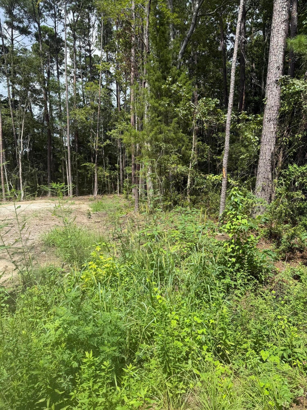 Photo of 0 Mary Ellie Drive, Summerville, SC 29483 (MLS # 26022755)