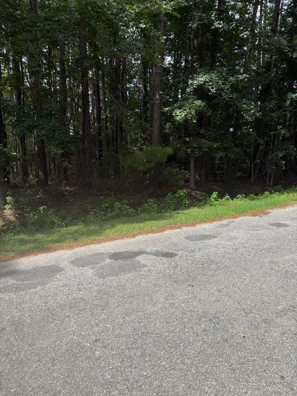 Photo of 0 Mary Ellie Drive, Summerville, SC 29483 (MLS # 26022755)