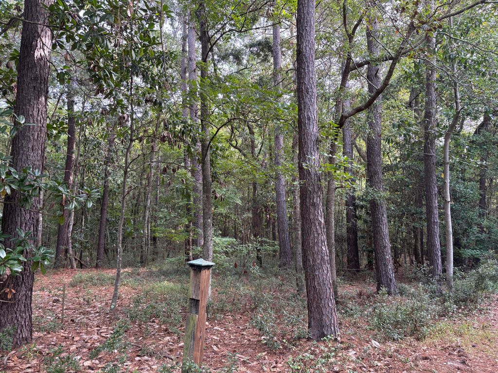 Photo of 0 Providence Circle, Awendaw, SC 29429 (MLS # 25026285)