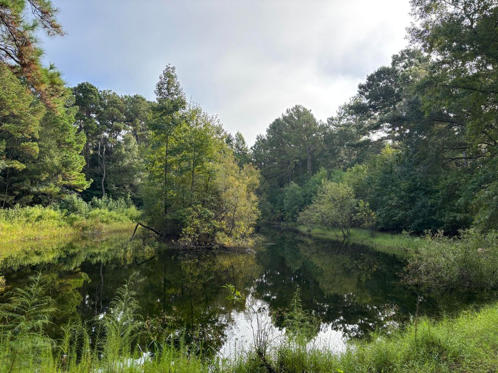 Photo of 0 Providence Circle, Awendaw, SC 29429 (MLS # 25026285)