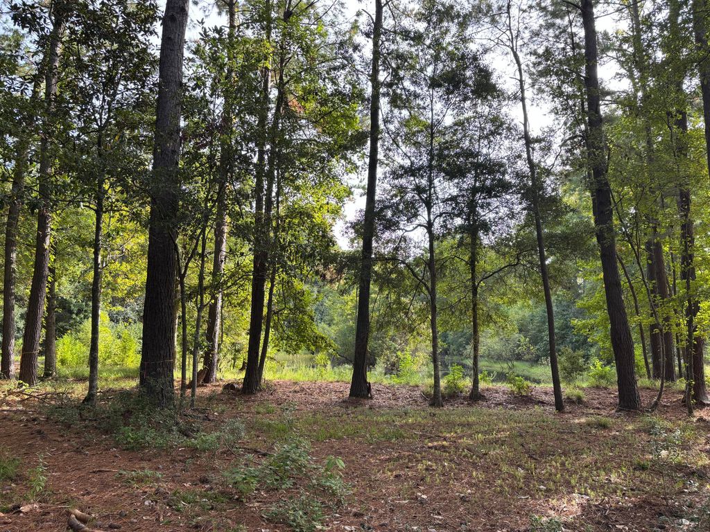 Photo of 0 Providence Circle, Awendaw, SC 29429 (MLS # 25026285)