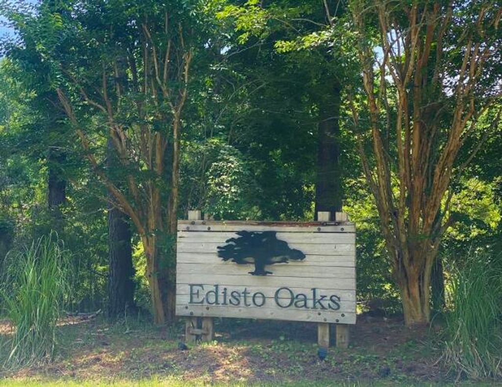 Photo of 25 Blackbear Road, Edisto Island, SC 29438 (MLS # 26006571)