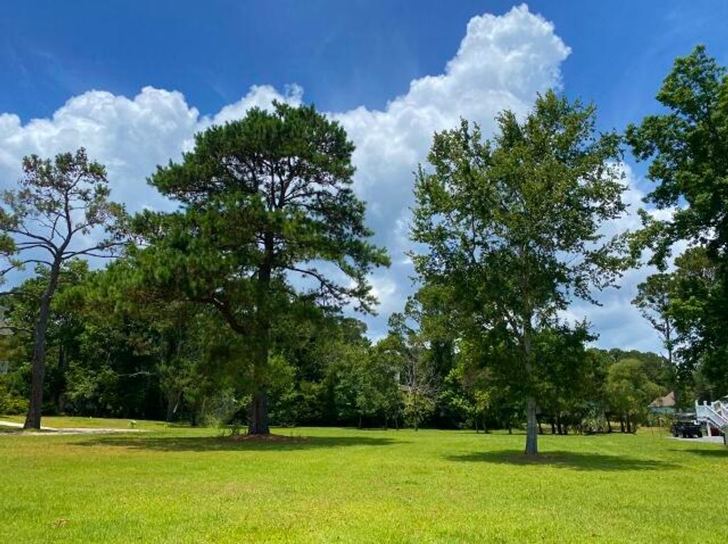 Photo of 25 Blackbear Road, Edisto Island, SC 29438 (MLS # 26006571)