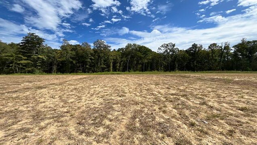 Photo of 456 Tulip Poplar Drive, Moncks Corner, SC 29461 (MLS # 25026754)