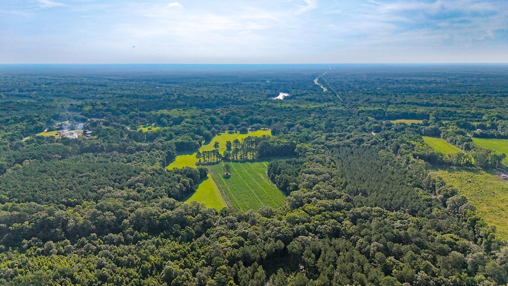 Photo of 0 Hope Plantation Lane, Jacksonboro, SC 29452 (MLS # 26019998)