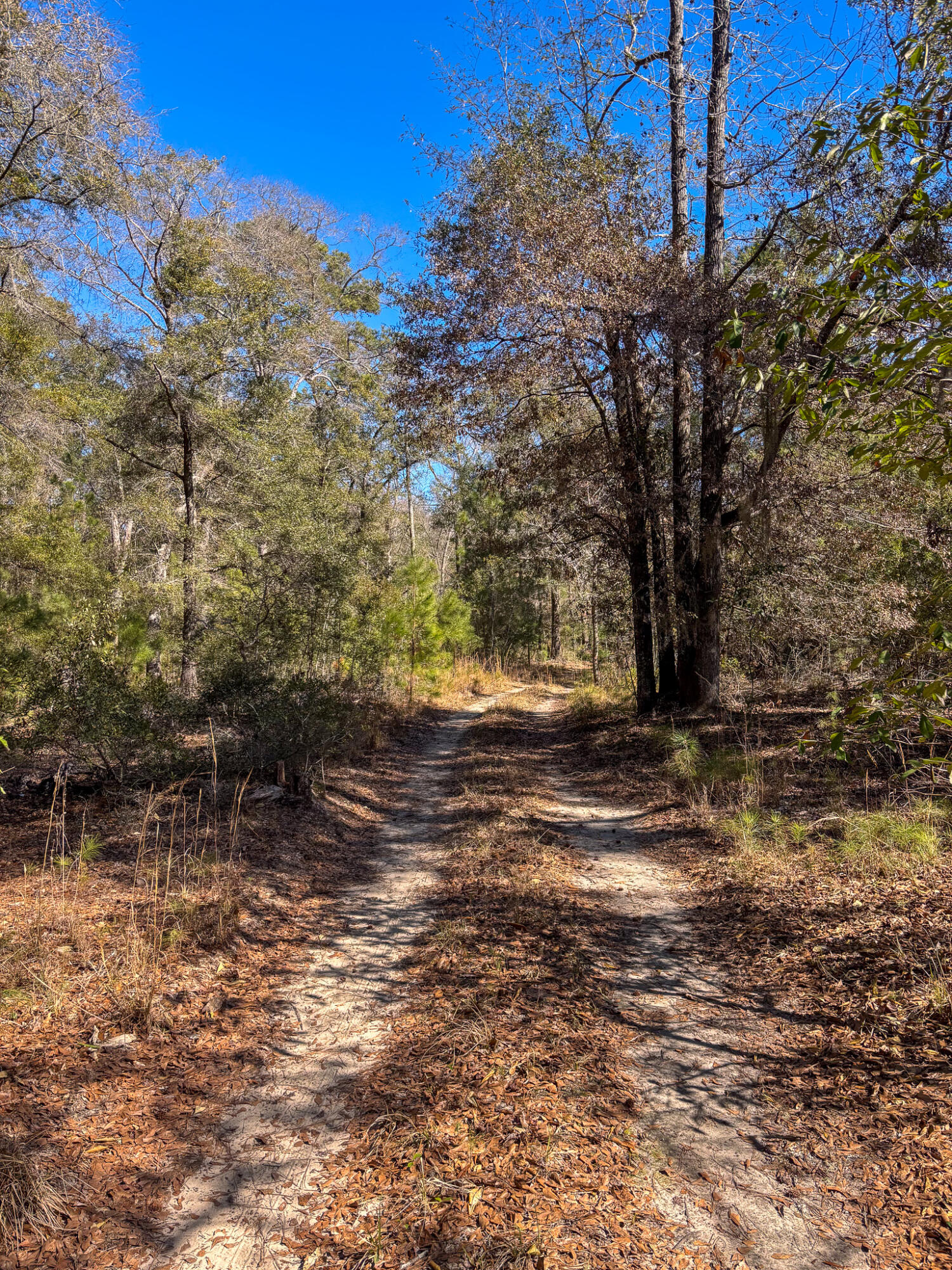 903 Harts Bluff Road